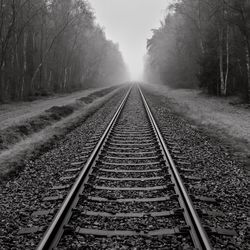 Railroad tracks amidst trees against sky