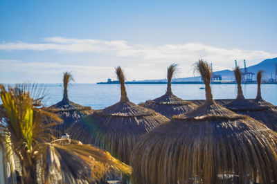 Thatched roof sunshades at beach against sky