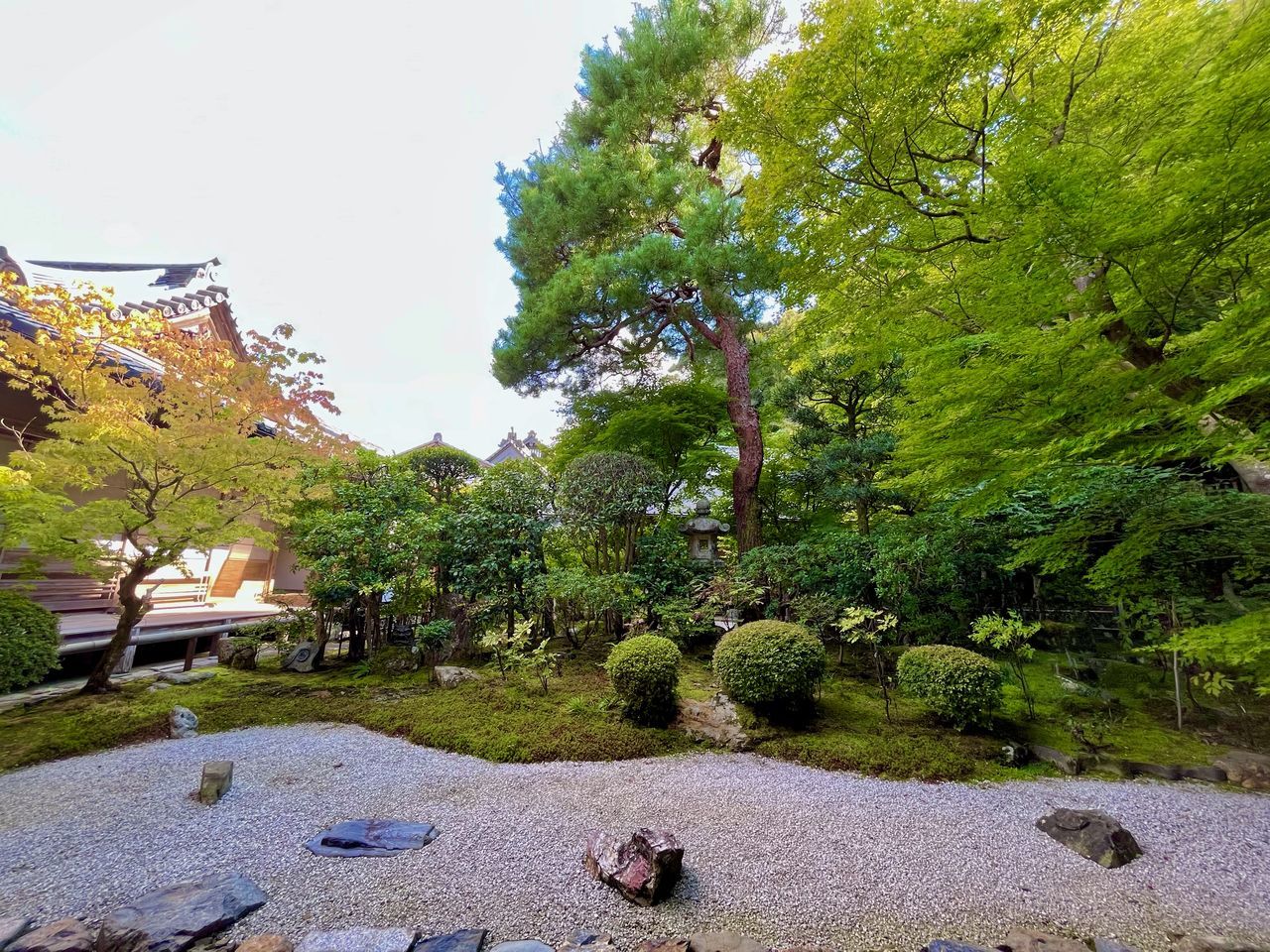 plant, tree, nature, beauty in nature, green, water, day, tranquility, garden, architecture, no people, flower, sky, rock, growth, land, leaf, outdoors, environment, tranquil scene, scenics - nature, travel destinations, built structure, travel