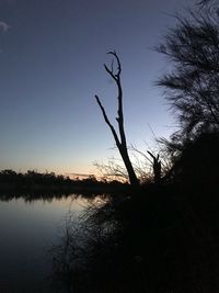 Silhouette bare tree by lake against sky during sunset