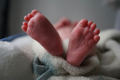 Close-up of baby feet