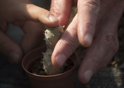 Close-up of hand holding ice cream