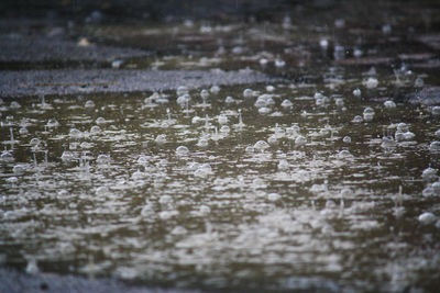 Full frame shot of raindrops on puddle