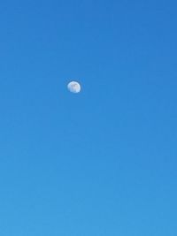 Low angle view of moon against blue sky