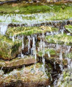 Stream flowing through rocks