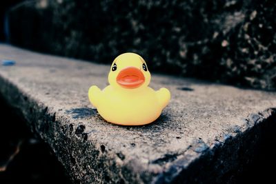 Close-up of yellow toy in water