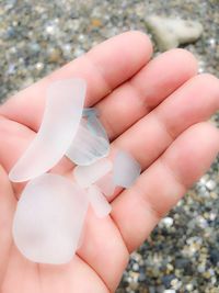 Close-up of person holding hand