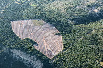 High angle view of tree by building in forest