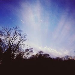 Low angle view of silhouette trees against sky