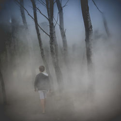 Rear view of boy walking in forest