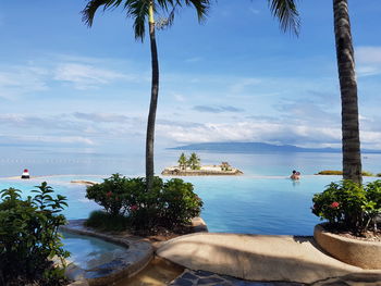 Palm trees by swimming pool against sky