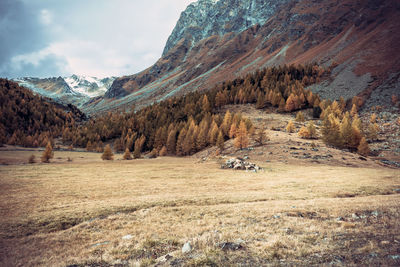 Scenic view of landscape and mountains against sky