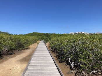 Footpath amidst plants on field against clear sky