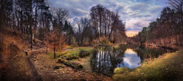 Reflection of trees in lake against sky