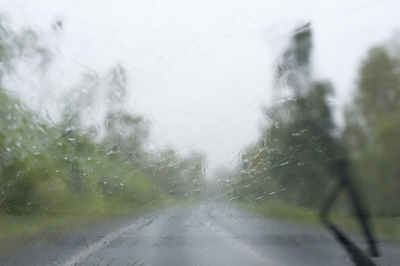 Road passing through a forest