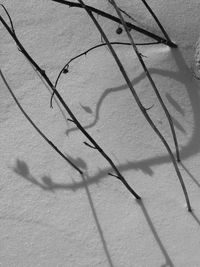 High angle view of shadow on floor