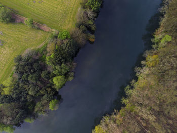 High angle view of trees on land