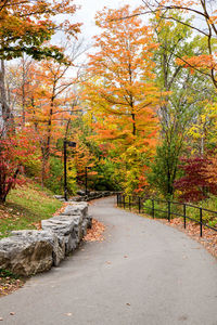 Road amidst trees in forest during autumn