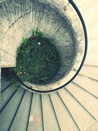 High angle view of trees