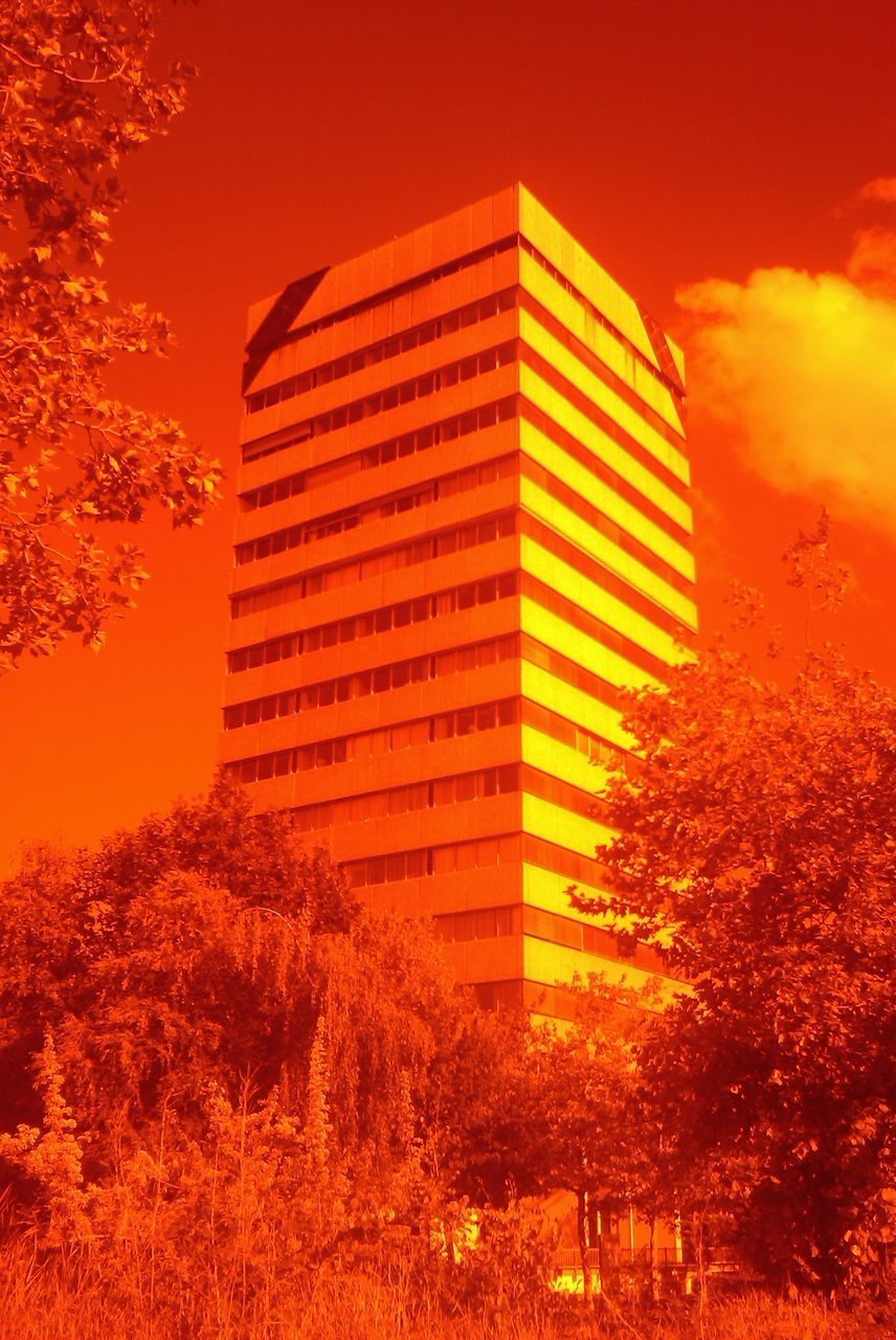 architecture, building exterior, built structure, tree, low angle view, building, growth, sky, red, city, modern, orange color, no people, illuminated, outdoors, office building, residential structure, residential building, sunset, day