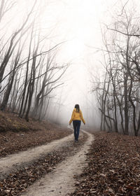 Girl walking through the foggy autumn forest. the girl is alone in the misty forest. 