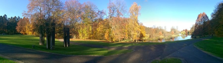 Trees in park during autumn