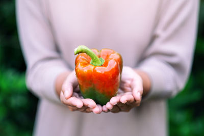 Cropped image of hand holding fruit