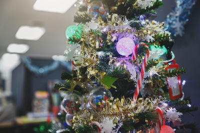 Close-up of christmas tree