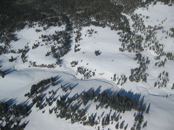 Grand canyon flying view winter forest