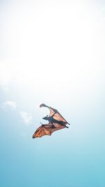 Low angle view of butterfly flying