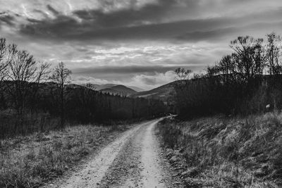 Dirt road amidst plants and trees against sky