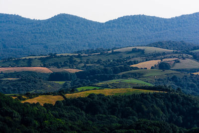 Scenic view of landscape and mountains