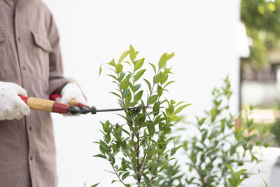 Man holding plant standing against plants