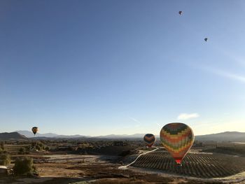 Hot air balloons flying in sky