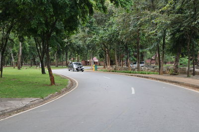 Cars on road by trees in city