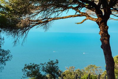 Scenic view of calm sea against clear sky