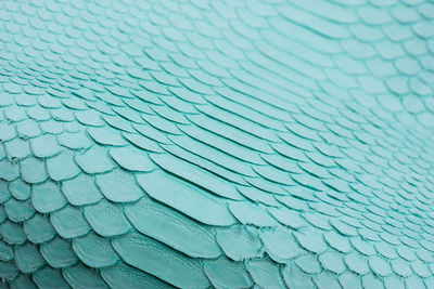 Detail shot of swimming pool, python skin background