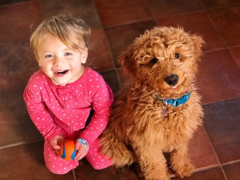 High angle portrait of cute boy sitting by dog at home