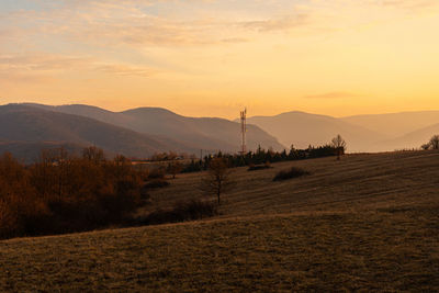 Scenic view of field against sky during sunset