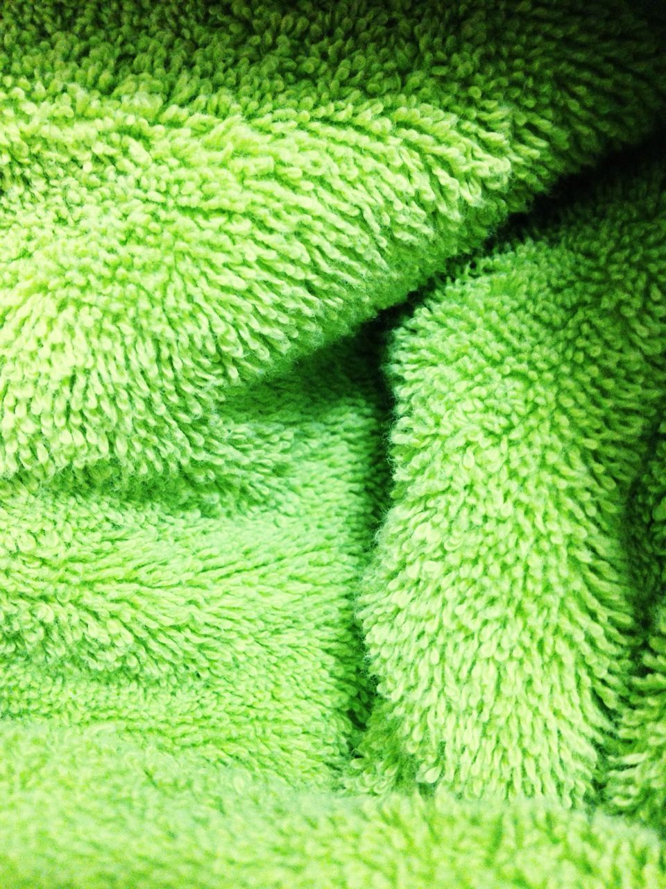 green color, full frame, backgrounds, close-up, green, natural pattern, indoors, nature, no people, pattern, textured, beauty in nature, detail, high angle view, selective focus, day, growth, multi colored, part of