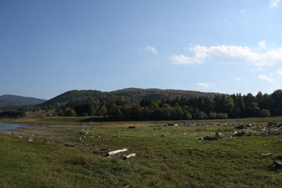 Scenic view of landscape against sky