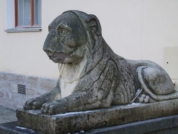 Close-up of a statue