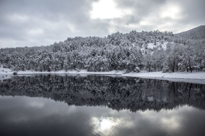 Scenic view of lake by trees against sky