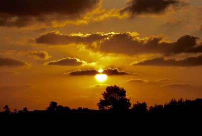 Scenic view of silhouette trees against dramatic sky during sunset