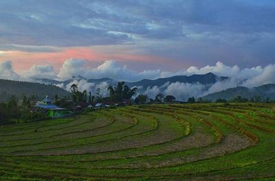 Scenic view of landscape against cloudy sky