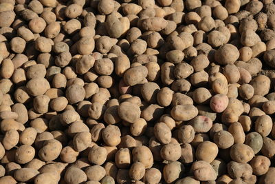 Full frame shot of coffee beans