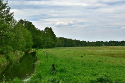 Scenic view of rural landscape