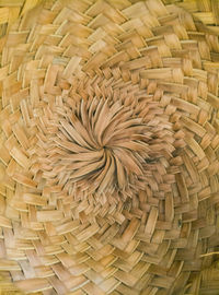 The loose, coiled coconut leaf woven