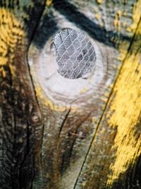 Full frame shot of wooden surface