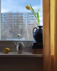 Close-up of potted plant on window sill at home